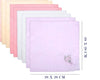 Women’s Floral Embroidered Assorted Lace Bulk Hankies