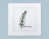 Premium Cotton Botanical Embroidered Cocktail Napkin