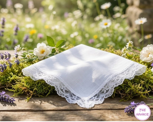Ladies Premium Cotton Handkerchief with Delicate Lace Trim