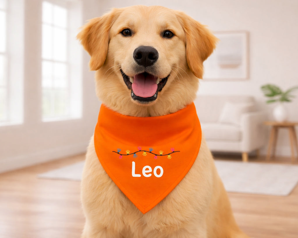 Dog wearing an orange bandana with 'Leo' on it in a home setting