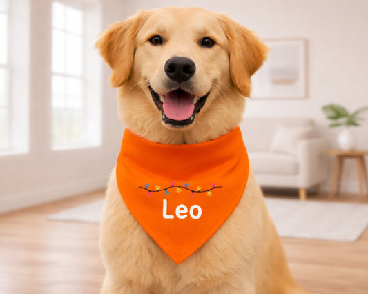 Dog wearing an orange bandana with 'Leo' on it in a home setting