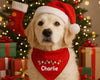 Dog wearing a Santa hat and red bandana with 'Charlie' on, in front of a Christmas tree and presents.