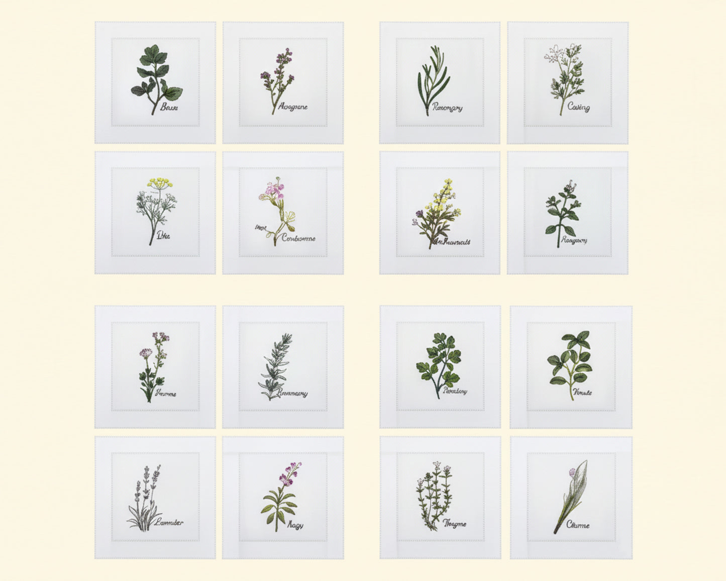 Illustrations of various herbs with labels on a light beige background