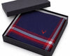 Navy blue and red plaid pocket square in a black box on a white background