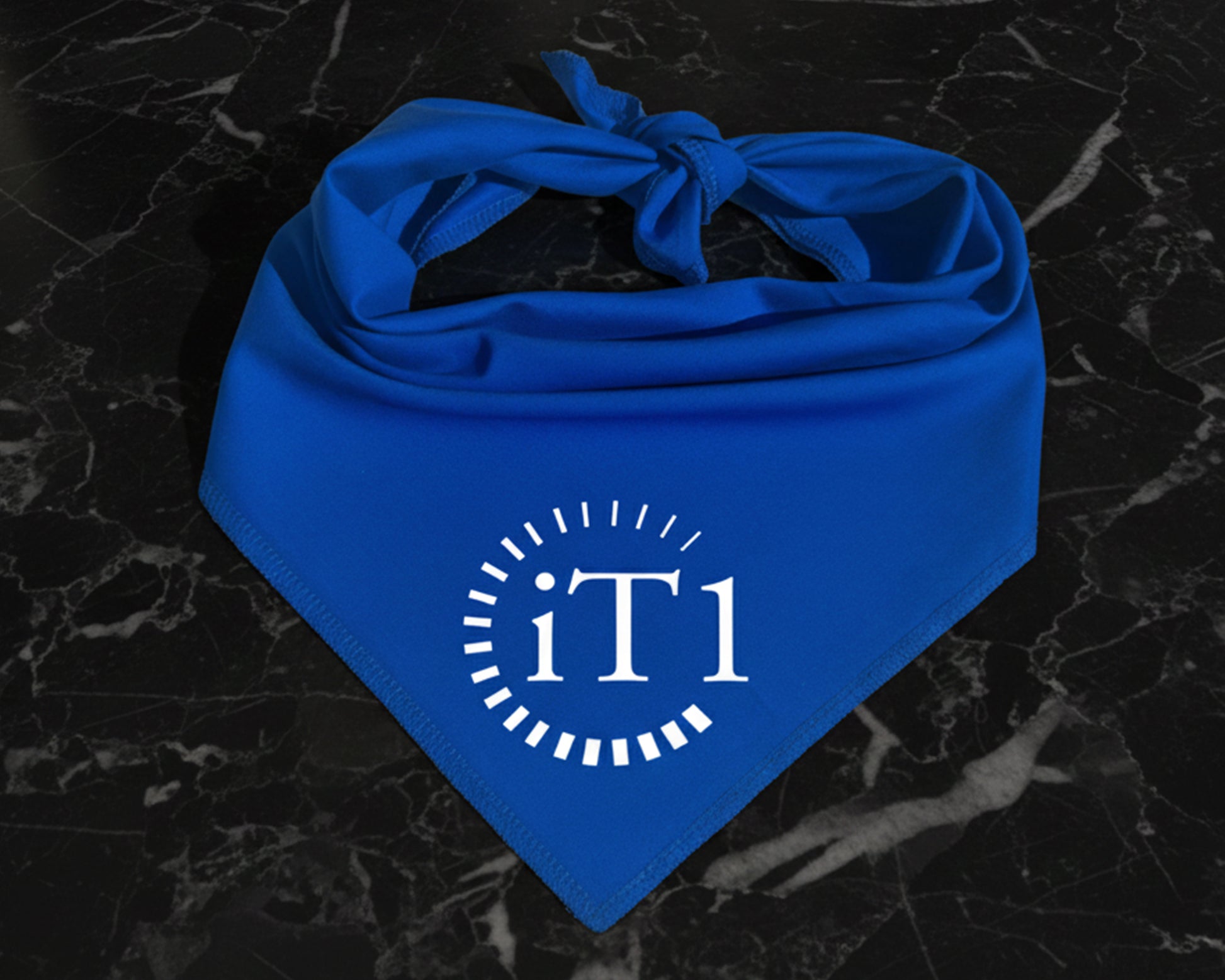 A vibrant blue cotton pet bandana featuring a crisp white heat-pressed vinyl "iT1" corporate logo.