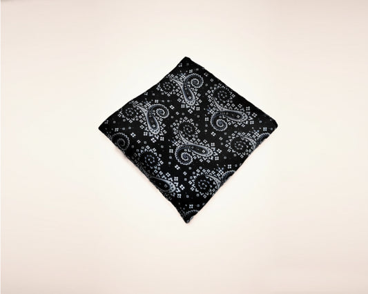 Flat lay view of a folded midnight onyx and silver paisley cotton handkerchief for men on a white background.