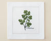 Single white linen cocktail napkin featuring a detailed green Basil branch embroidery with a delicate hemstitch border.