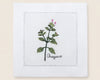 Single white linen cocktail napkin featuring a detailed purple-flowered Cardamom plant embroidery with a hemstitch border.