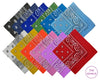Classic Paisley Bandana Scarf, Timeless Western Style Headscarf, Multi-Color Paisley Print Scarves 