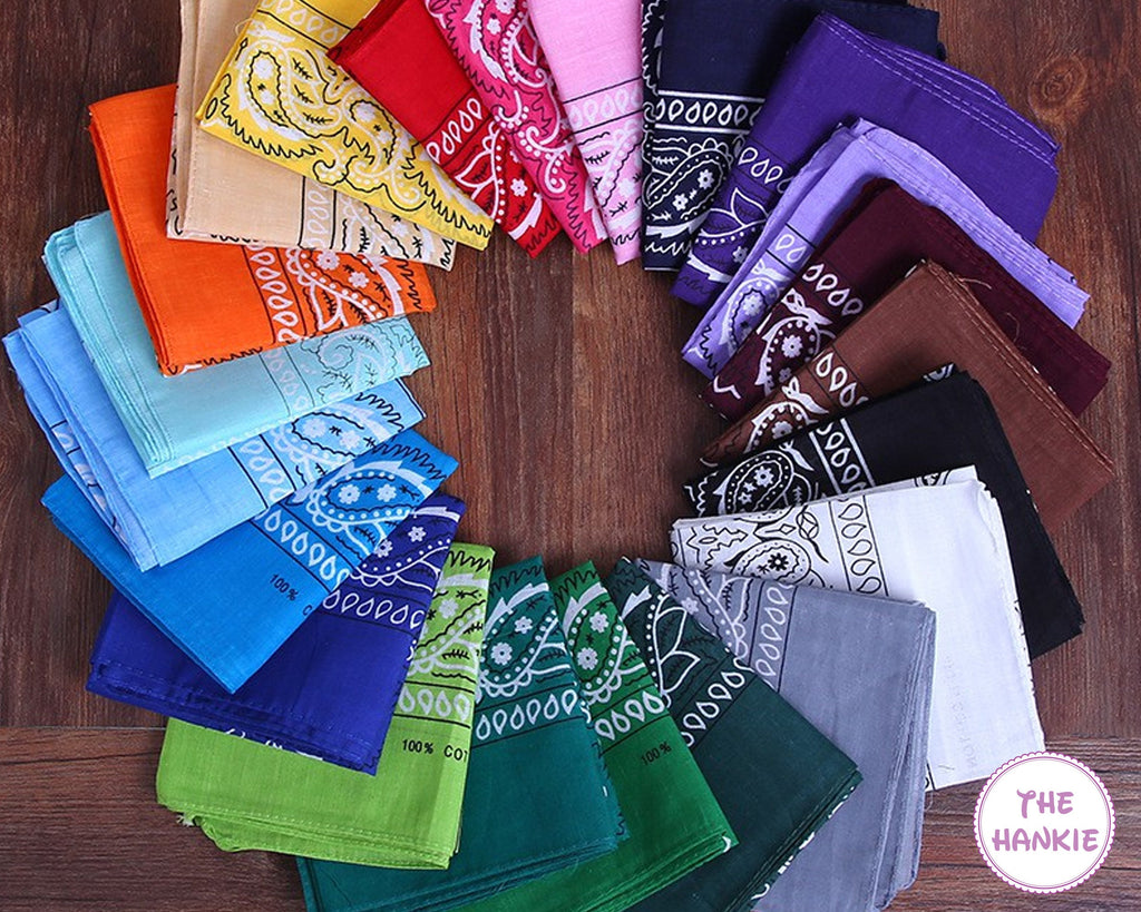 12 Assorted PAISLEY Dog Bandanas. Groomers Bulk Variety Pack. Six Sizes for Great Fit. Wholesale-Priced Scarfs.
